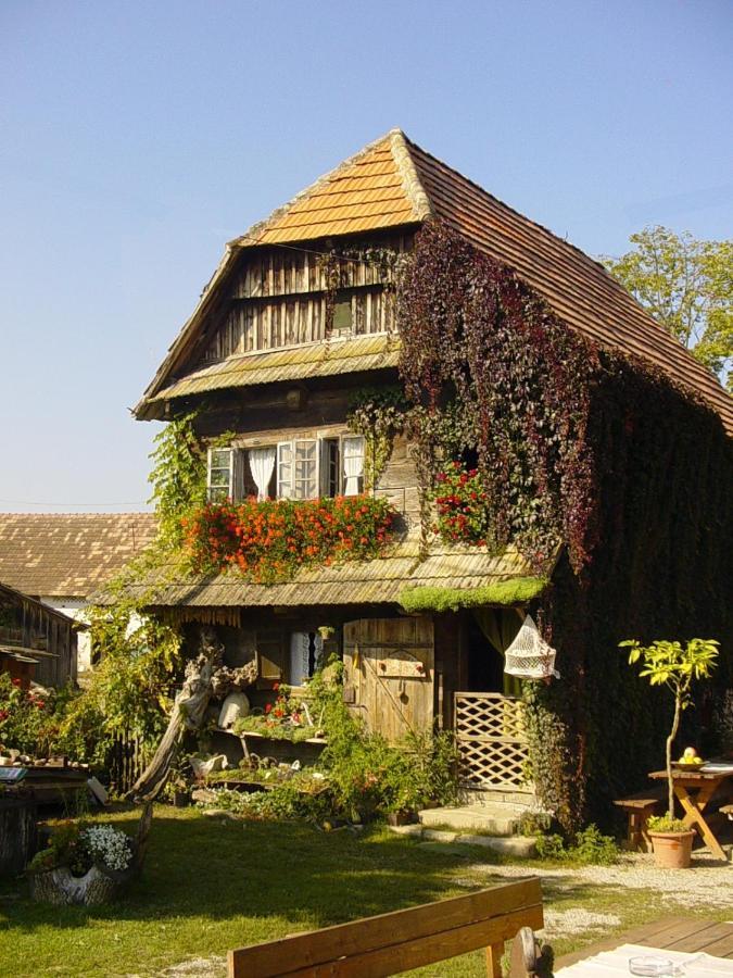 Rural Tourism Family Ravlic Guest House Muzilovcica Luaran gambar