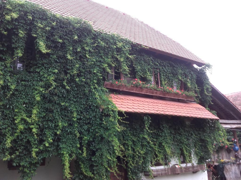 Rural Tourism Family Ravlic Guest House Muzilovcica Luaran gambar
