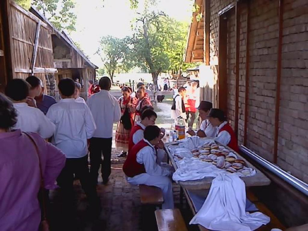 Rural Tourism Family Ravlic Guest House Muzilovcica Luaran gambar