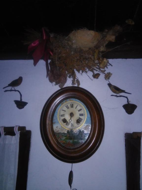 Rural Tourism Family Ravlic Guest House Muzilovcica Luaran gambar